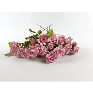 20朵Paridom Exklusiv瓷玫瑰粉色