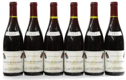 Remoriquet Nuits Saint Georges 2010