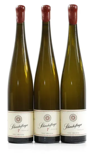 van Volxem Wiltinger Scharzhofberger Pergentsknopp Riesling Grosses Gewächs 2017 1,5 l, van Volxem ... ja 1 muu