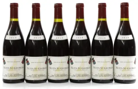 Remoriquet Nuits Saint Georges 2010