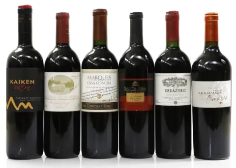 Bodegas San Pedro de Yacochuya San Pedro de Yacochuya 2000 0,75 l, Bodegas San Pedro de Yacochuya ... ja 5 muuta