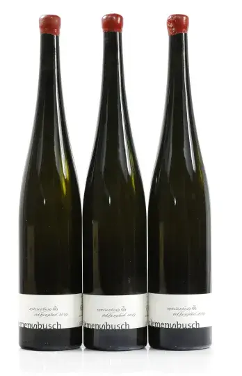 Weingut Clemens Busch Pündericher Marienburg Rothenpfad Riesling Grosses Gewächs 2019