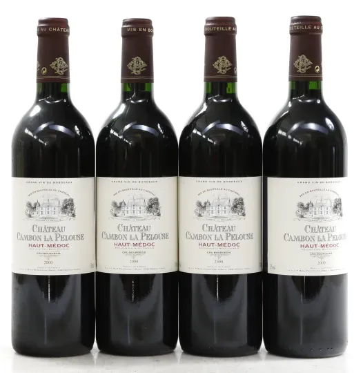 Chateau Cambon la Pelouse 2000