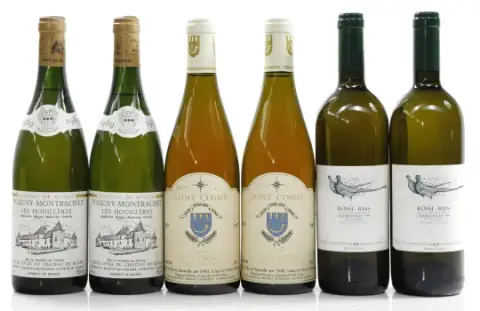 Chateau de Bligny Puligny-Montrachet Les Houilleres 1989 0,75 l, Chateau de Bligny ... ja 2 muuta