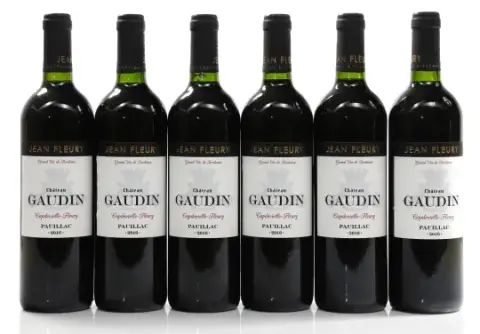 Chateau Gaudin Chateau Gaudin 2016
