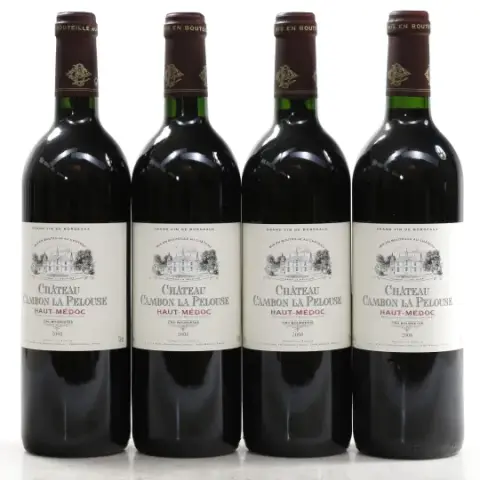 Chateau Cambon la Pelouse Chateau Cambon la Pelouse 2000