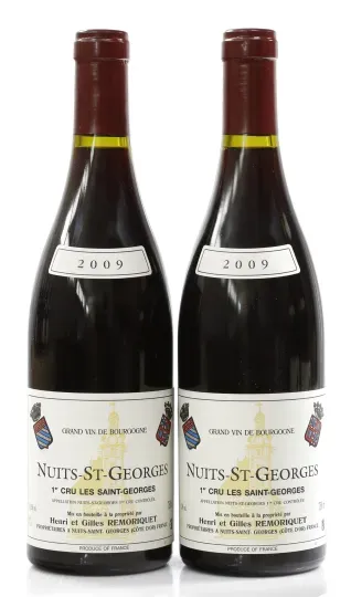 Remoriquet Nuits Saint Georges 1er Cru 2009