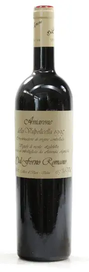 Dal Forno Romano Amarone della Valpolocella Vigneto Monte Lodoletta 1995