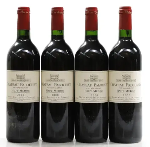 Chateau Paloumey Chateau Paloumey 2000