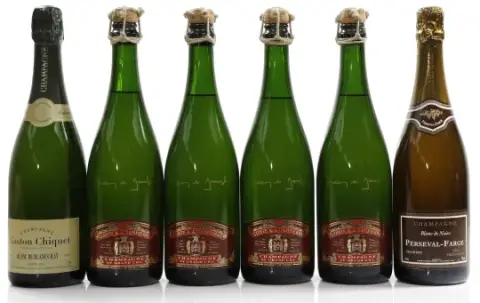 Chiquet, Gaston Blanc de Blancs d'Ay Grand Cru Brut 0,75 l, Chiquet, Gaston ... og 2 til