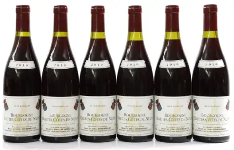 Remoriquet Bourgogne Haut Cotes 2010