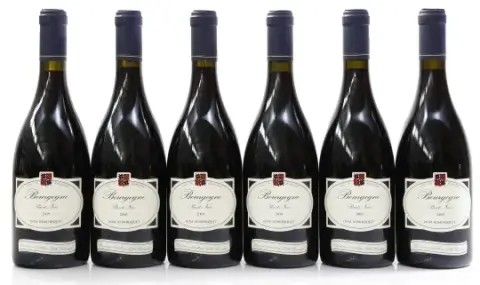 Remoriquet Pinot Noir 2009