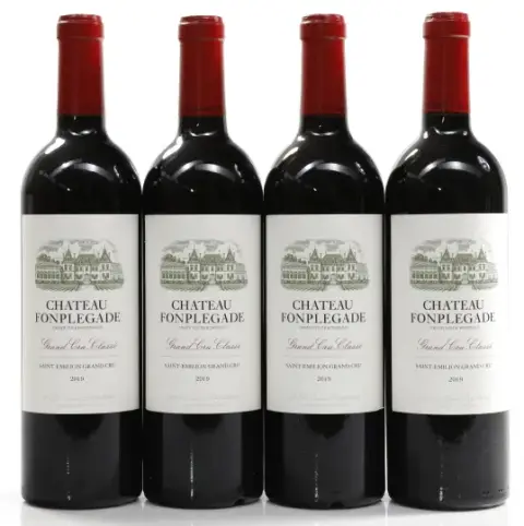 Chateau Fonplegade Chateau Fonplegade 2019