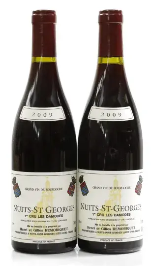 Remoriquet Nuits Saint Georges "Les Damodes" 1er Cru 2009