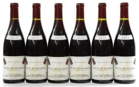 Remoriquet Nuits Saint Georges 2010