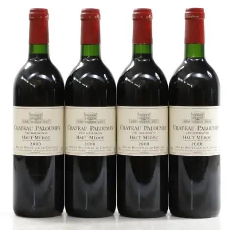 Chateau Paloumey Chateau Paloumey 2000