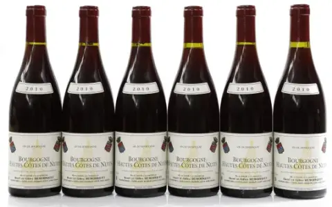 Remoriquet Bourgogne Haut Cotes 2010