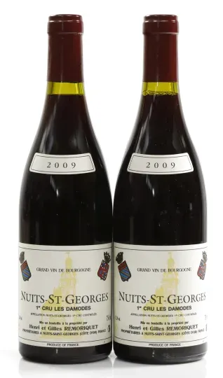 Remoriquet Nuits Saint Georges "Les Damodes" 1er Cru 2009