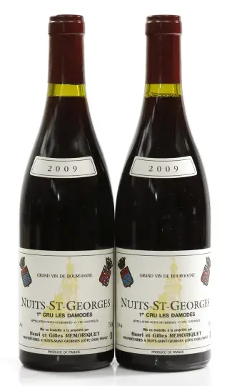 Remoriquet Nuits Saint Georges "Les Damodes" 1er Cru 2009