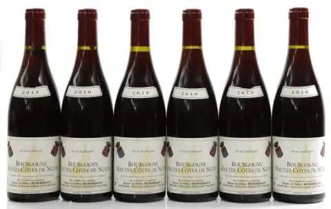 Remoriquet Bourgogne Haut Cotes 2010