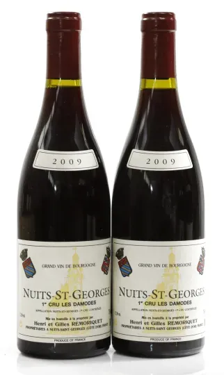 Remoriquet Nuits Saint Georges "Les Damodes" 1er Cru 2009