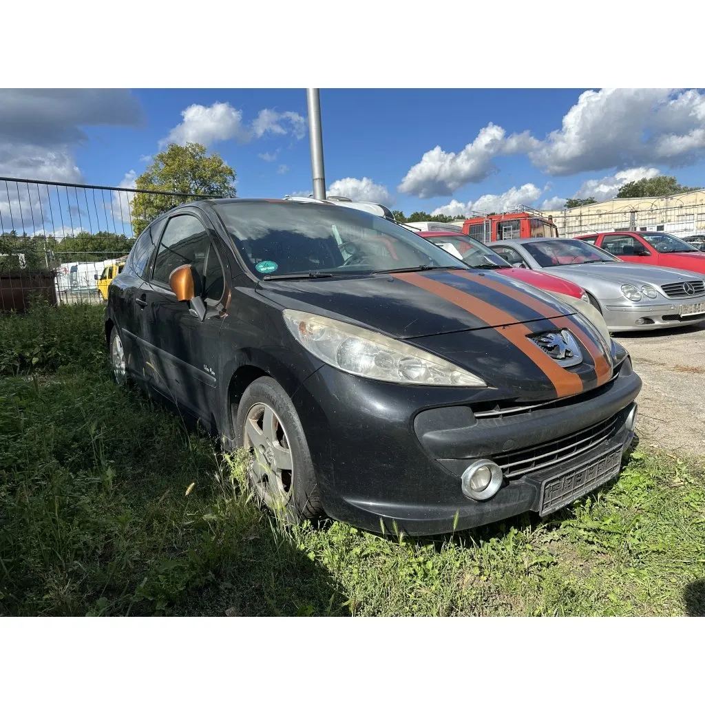 Peugeot 207 (saisie)