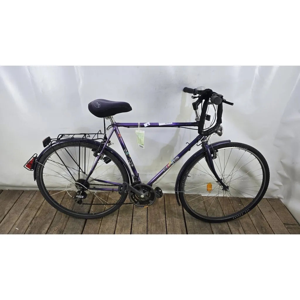 Trekkingrad, Globus