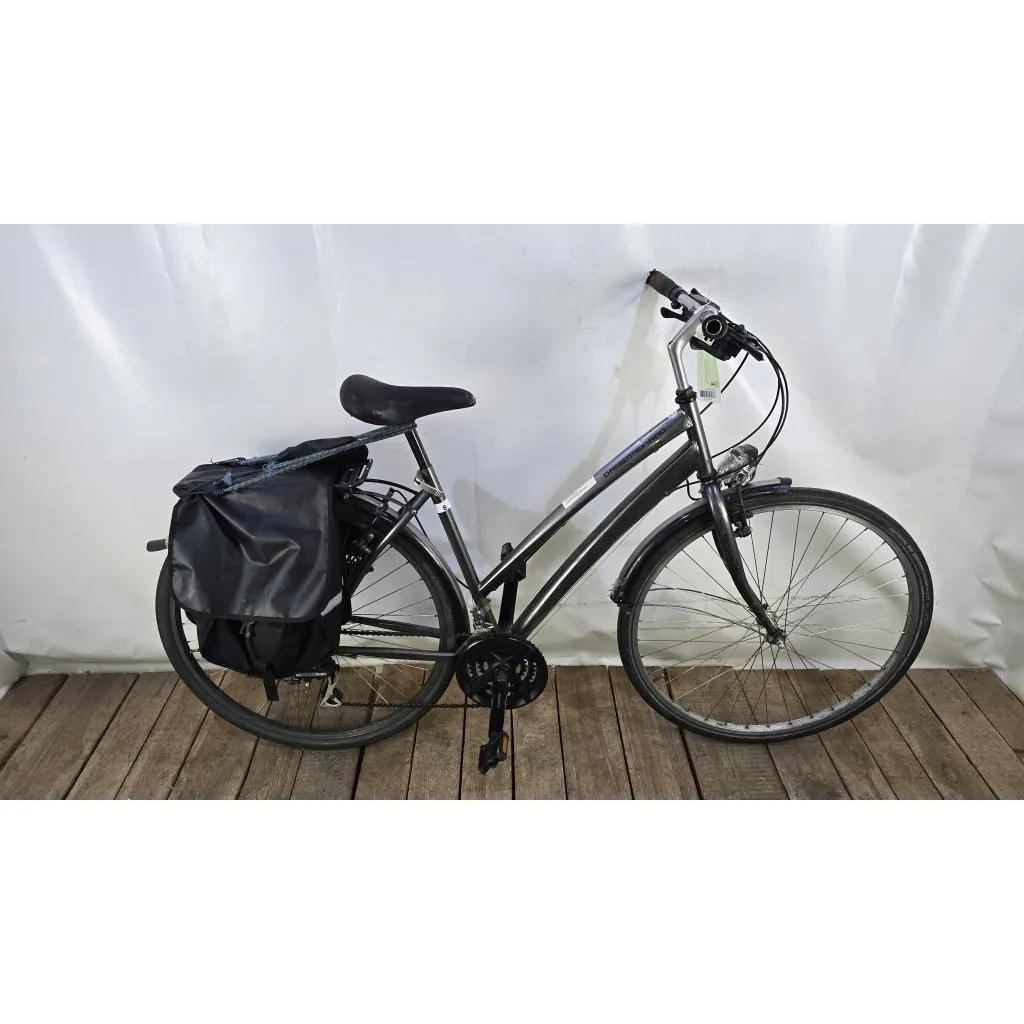 Damesfiets, grijs, dasistmeinrad
