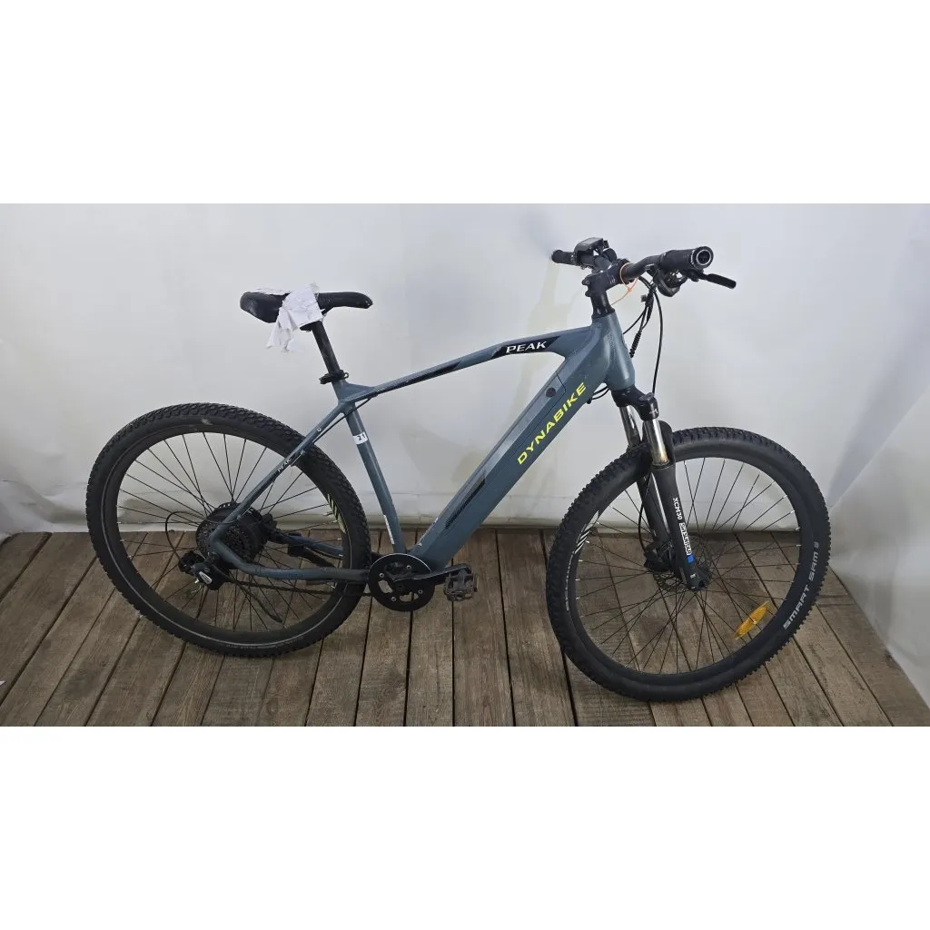E-Bike Dynabike