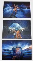 3张金属板照片，出自总部位于明斯特的传播机构Prachtstern的宣传活动，每张15x10厘米