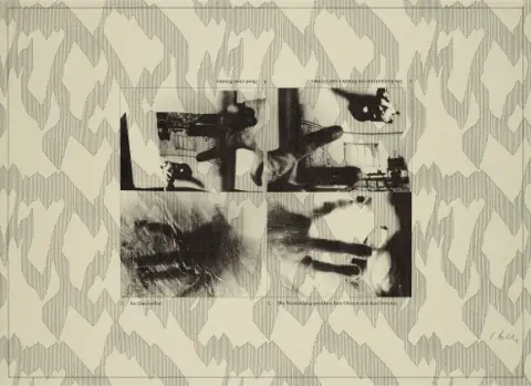 Sigmar Polke, Mâini (Medierea între superior și inferior)