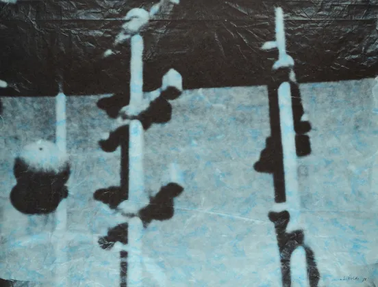 Sigmar Polke, Fernsehbilder (Kicker) I