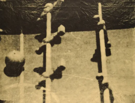 Sigmar Polke, Fernsehbilder (Kicker) I