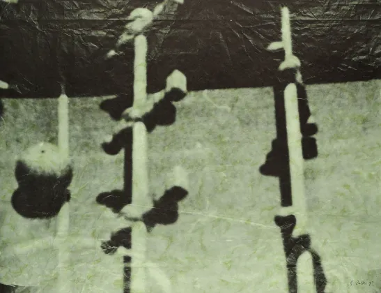 Sigmar Polke, Immagini televisive (Kicker) I