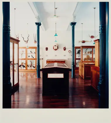 Candida Höfer, Museo Statale di Storia Naturale e Preistoria Oldenburg X 1998