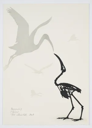 Rune Mields, 'Incontro (ibis)'
