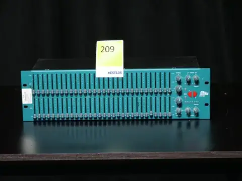 BSS FCS 966 2x 31 bantlı ekolayzer