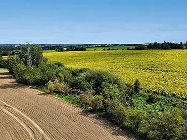 Сільськогосподарська площа, зокрема земельні ділянки – Альтенбург