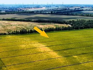 1,9 га ріллі/луків та водної поверхні – Мойзельвіц