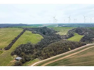 5,9 公顷农田/草地和林地 – 黑林根/黑尔梅