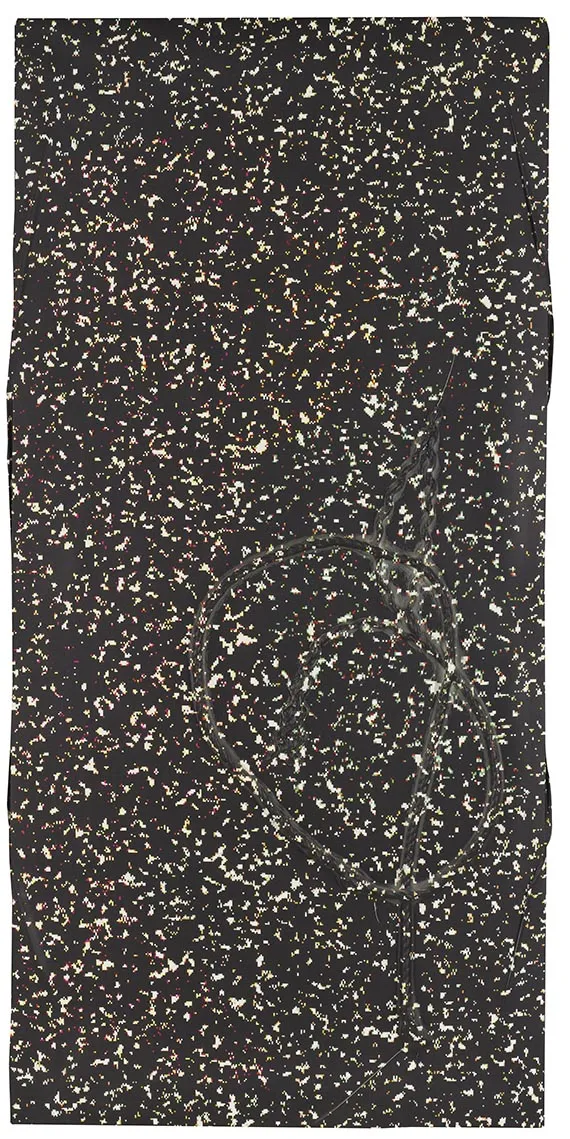 Seth Price, Bez naslova, 2010