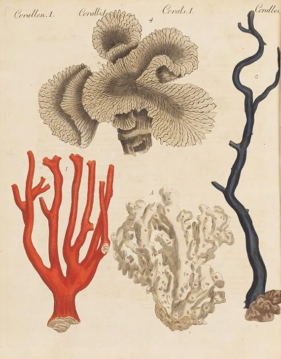 Friedrich Johann Justin Bertuch, Bilderbuch für Kinder. Bde. 1 u. 2