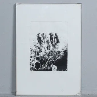 فنان غير معروف. طباعة حجرية ''Forest''، موقعة، مرقمة، 148/160.