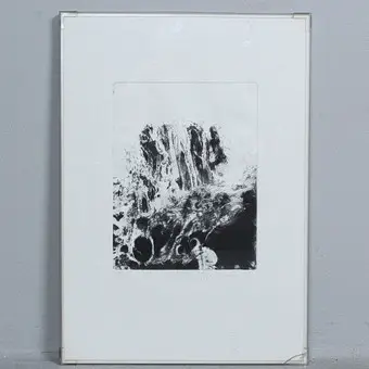فنان غير معروف. طباعة حجرية ''Forest''، موقعة، مرقمة، 148/160.