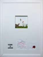 Lutz Beyering, five "3 D-Ziton" framed and glazed, signed object boxes