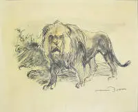 أوتو ديل، رسمان بأسود وطبعتان حجريتان