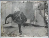 Augustus Goertz，人体，2012年2幅大照片，画廊装裱