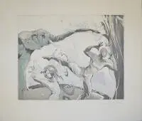 Jürgen Görg, "Wüstenvogel" e "Akrobaten", 2 grandi acqueforti a colori firmate del 1992