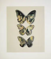 Jiří Kolář,《Motýli(蝴蝶)》与波提切利,1969年签名拼贴