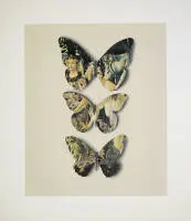 Jiří Kolář, Motýli (Farfalle) con Botticelli, collage firmato del 1969